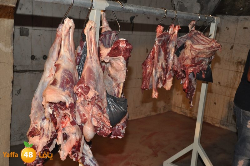 3eed ludj j31 (48).JPG